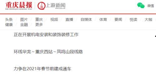 最新重庆爆料消息,揭秘城市热点事件背后的真相